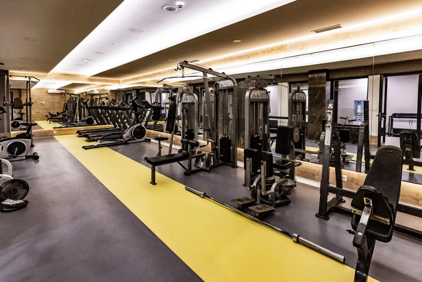Viking Park Hotel 4*-26