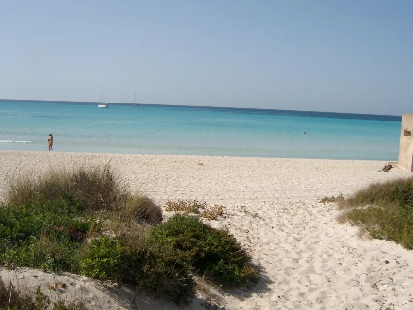 Isla de Cabrera Aparthotel 4*-96