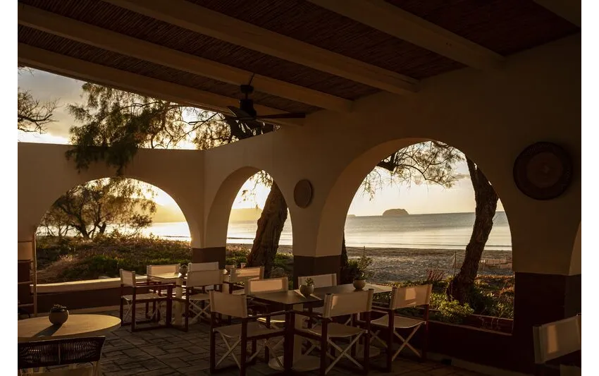 Domes Aulus Zante Autograph Collection 5*-6