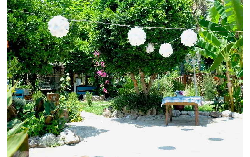 Erendiz Kemer Resort Hotel 4*-18