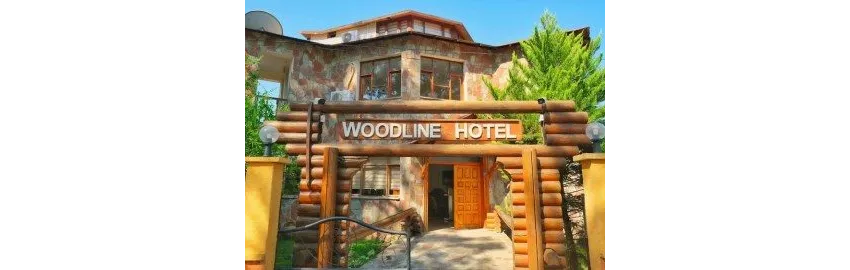 Woodline Hotel 3*-10