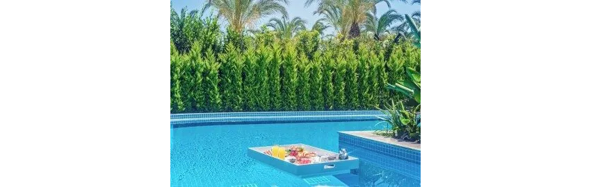 Royal Wings Hotel 5*-28