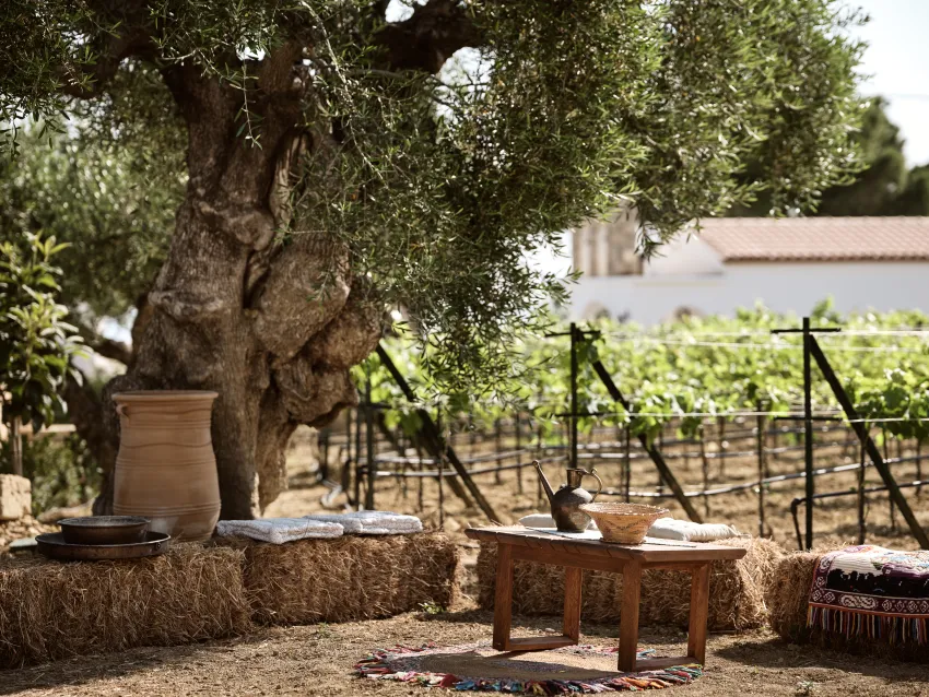 Lesante Cape Resort and Villas 5*-18