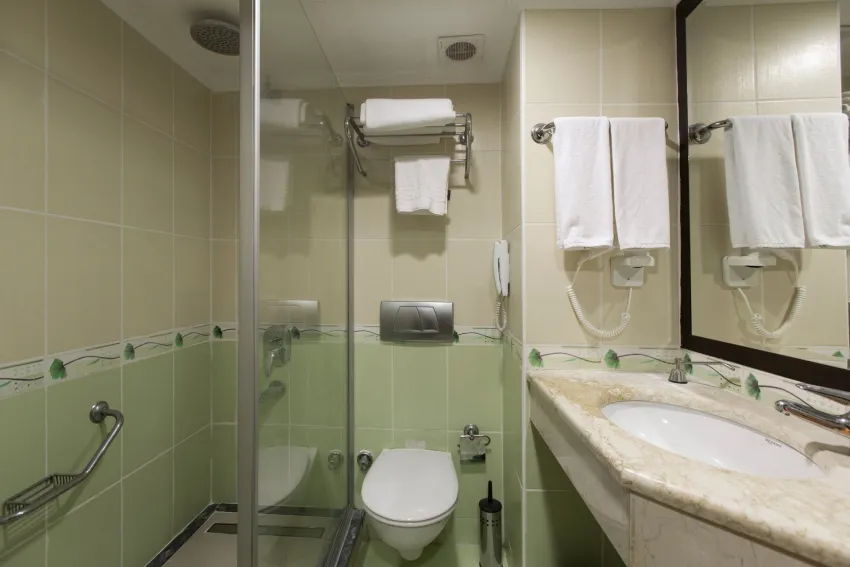 Orfeus Park Hotel 4*-9