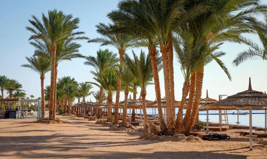 CORAL SEA SENSATORI RESORT  5*-73