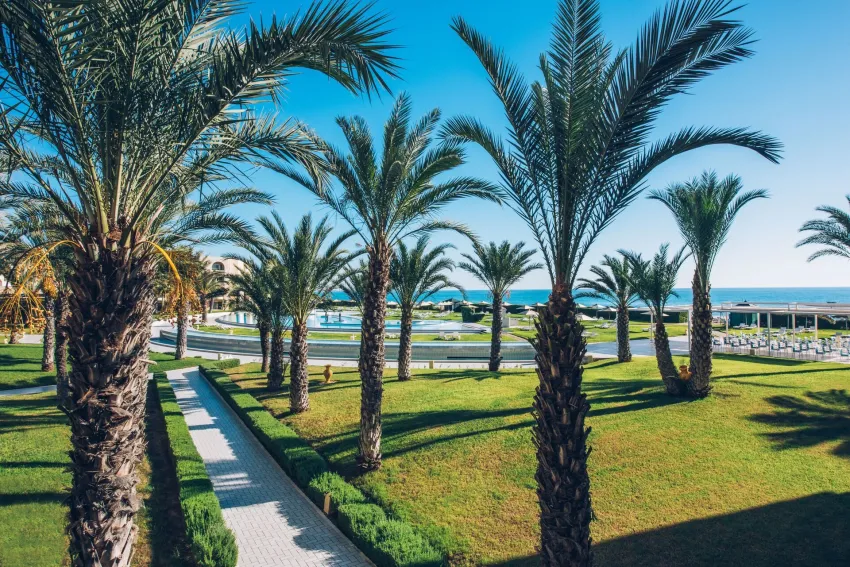 Iberostar Waves Averroes 4*-18