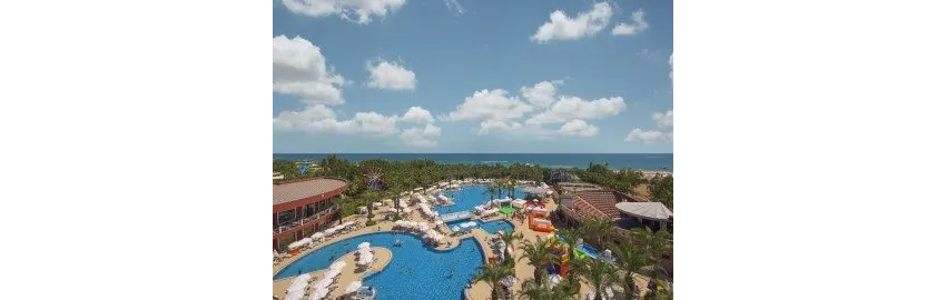 Delphin Palace 5*-30