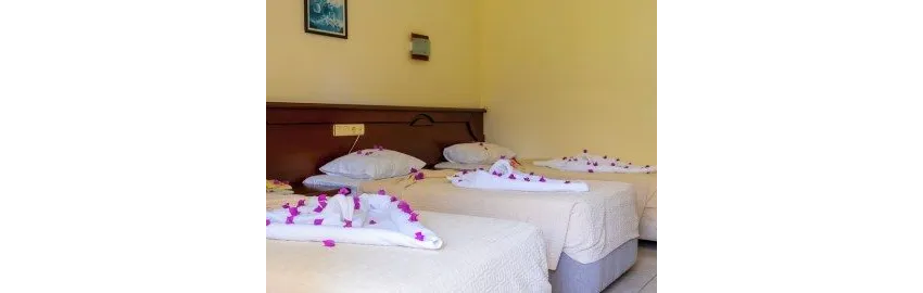 Imeros Hotel 3*-8