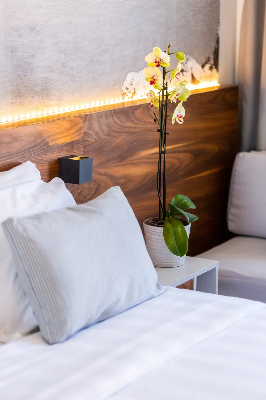 Atrium Ambiance Hotel 4*-223