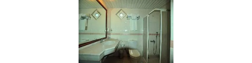 Ergun Hotel 3*-22