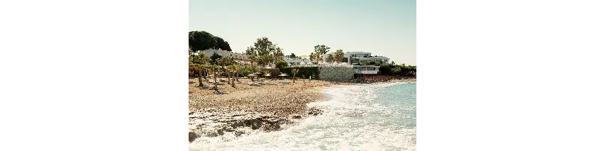 Flora Garden Beach (Adults Only 16+) 5*-90