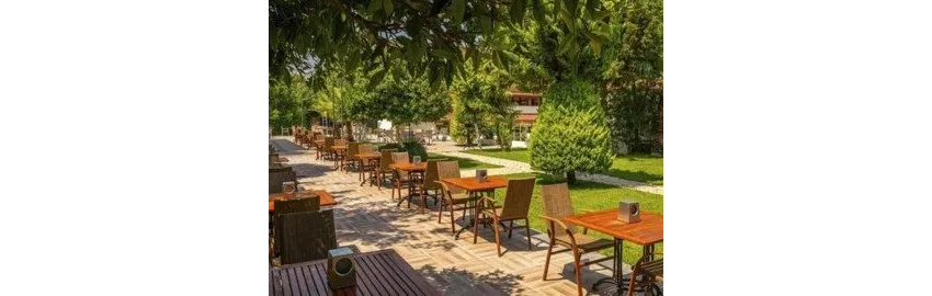 Dg Hotels Rose Resort 4*-29