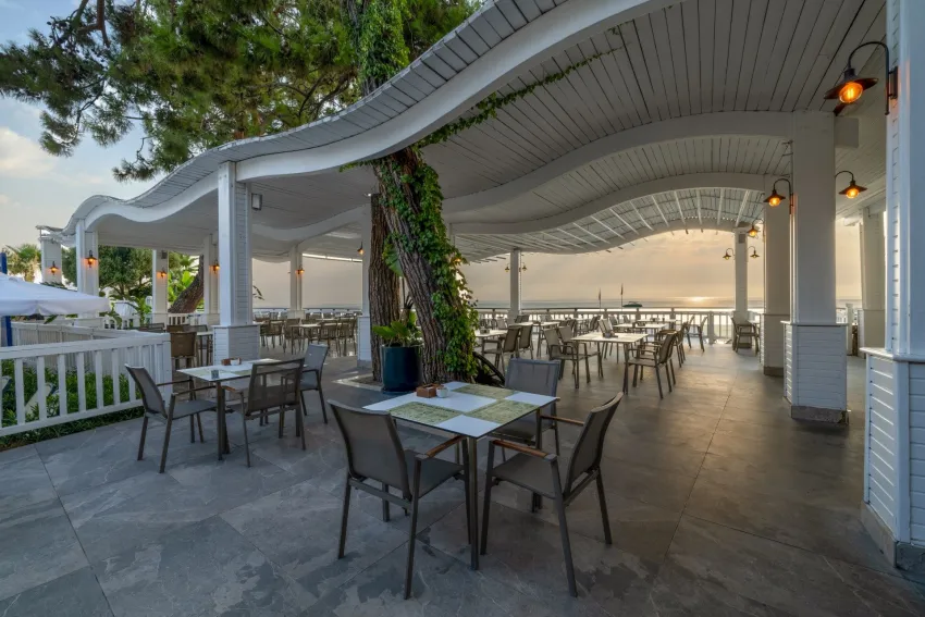 Crystal Aura Aqua Collection 5*-29