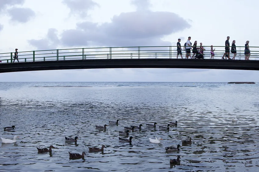 Cala Morlanda Estudios 3*-14