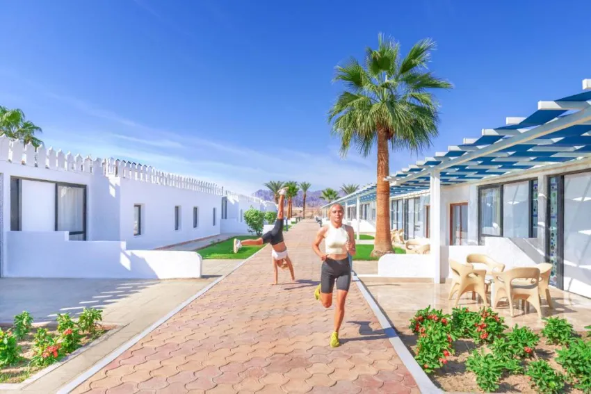 ALBATROS SHARM RESORT  4*-79