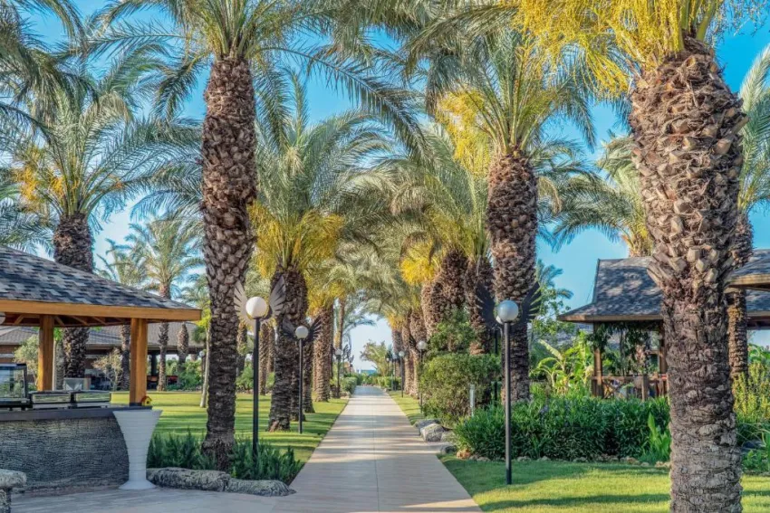 ROYAL WINGS HOTEL  5*-78