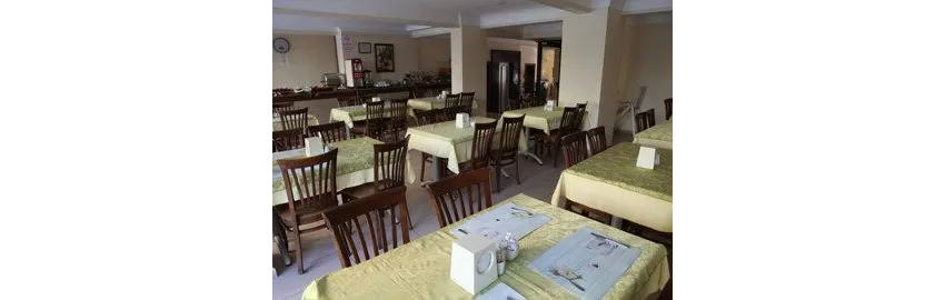 Alin Hotel 3*-22