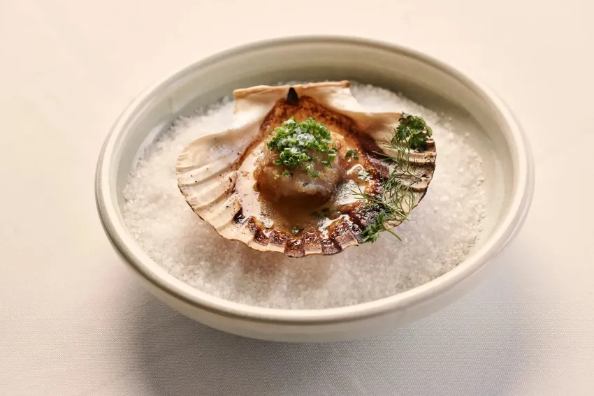 Legacy Gastro Suites 5*-11