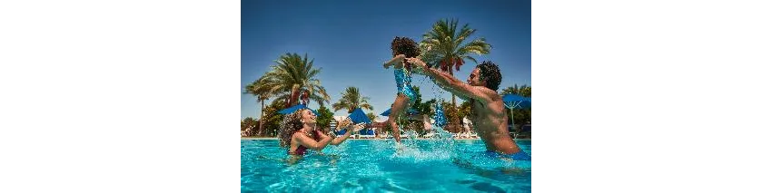 Desert Rose Resort 5*-85