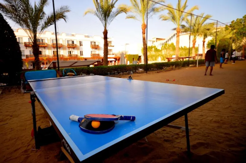 FALCON NAAMA STAR  3*-38