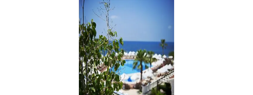 Flora Garden Beach (Adults Only 16+) 5*-52