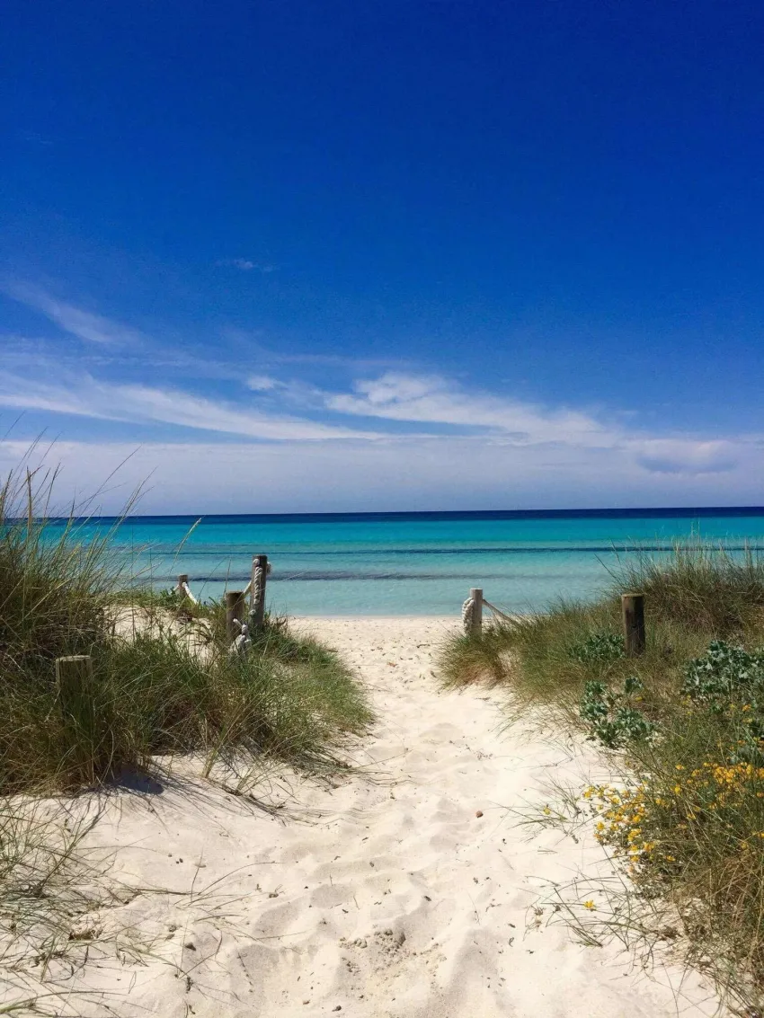 Blau Colonia Sant Jordi 4*-179