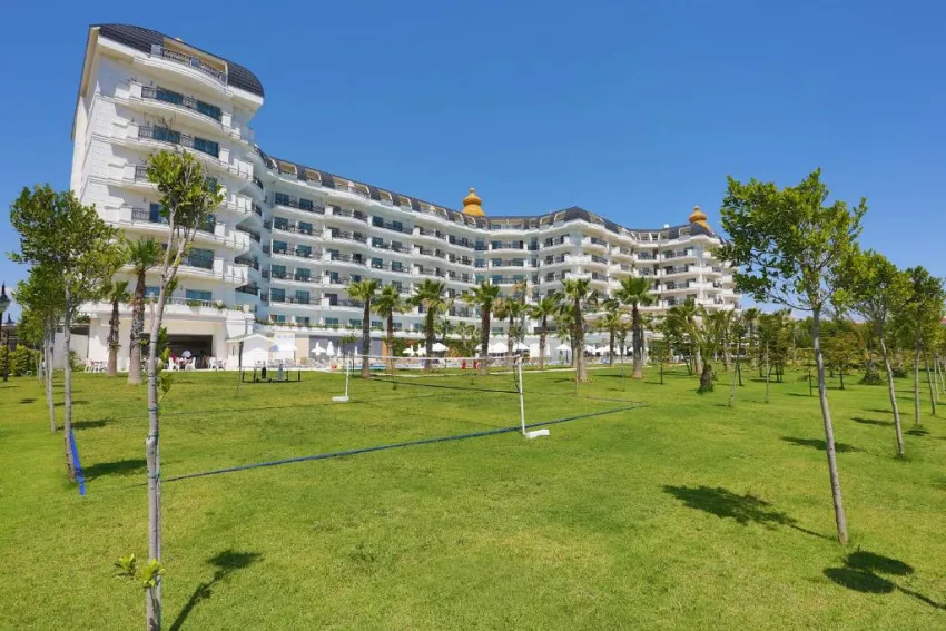 ASTERIA BLOOM SIDE (EX: SELECTUM FOR TWO SIDE)  5*-3