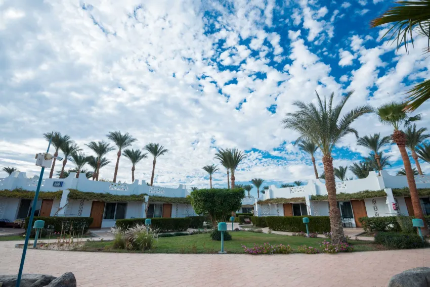 Shams Safaga Resort 4*-10