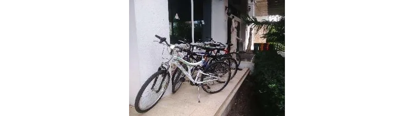 Pine House Hotel 4*-31