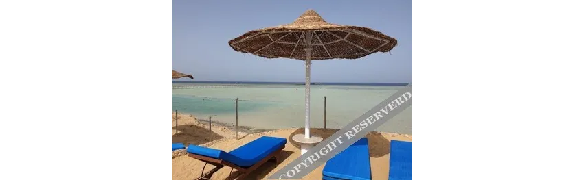 Blue Reef Marsa Alam Hotel 4*-10