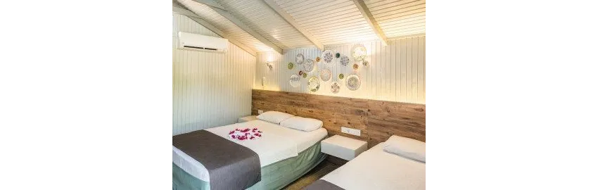 Leda Beach Hotel 3*-8