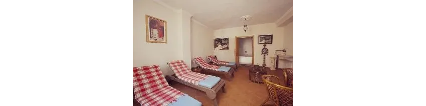 Cats Garden Hotel 3*-26