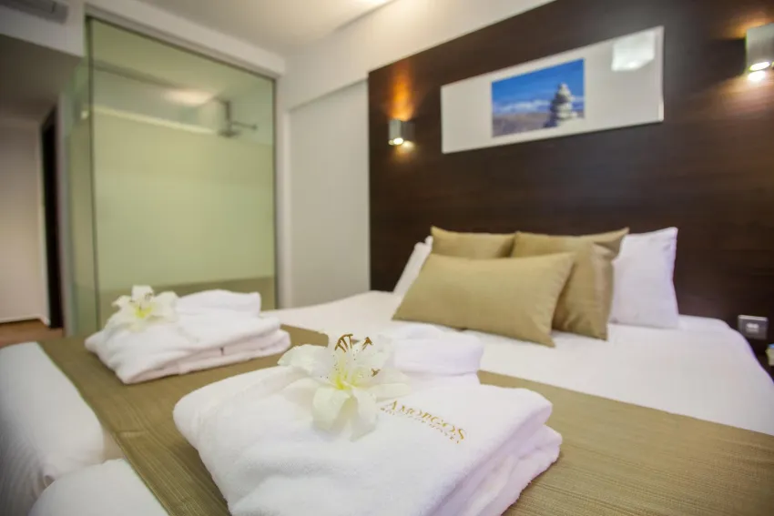 Amorgos Boutique Hotel 3*-1