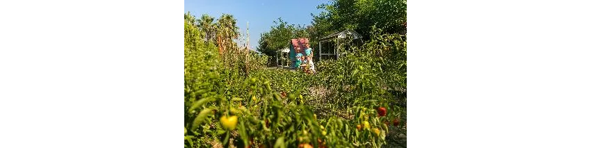 Marvida Family Eco (Ex.Otium Family Eco) 5*-36