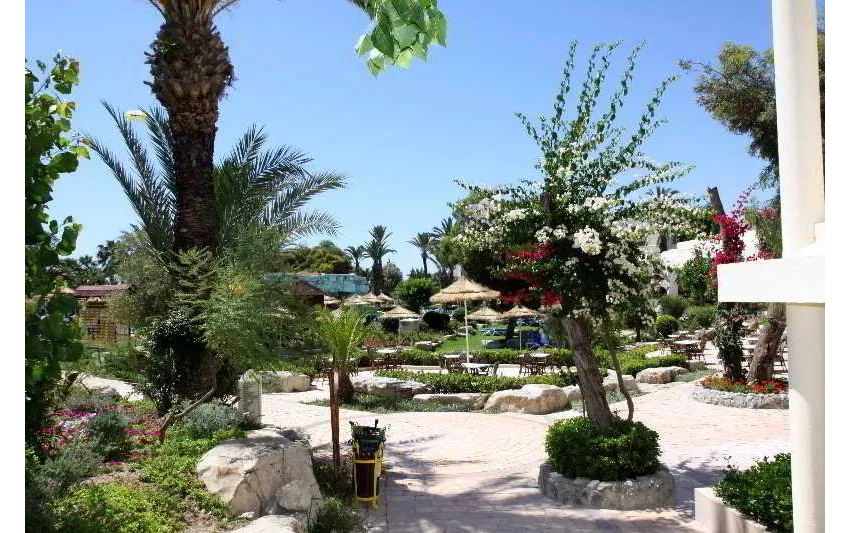 Club Magic Life Africana 5*-40