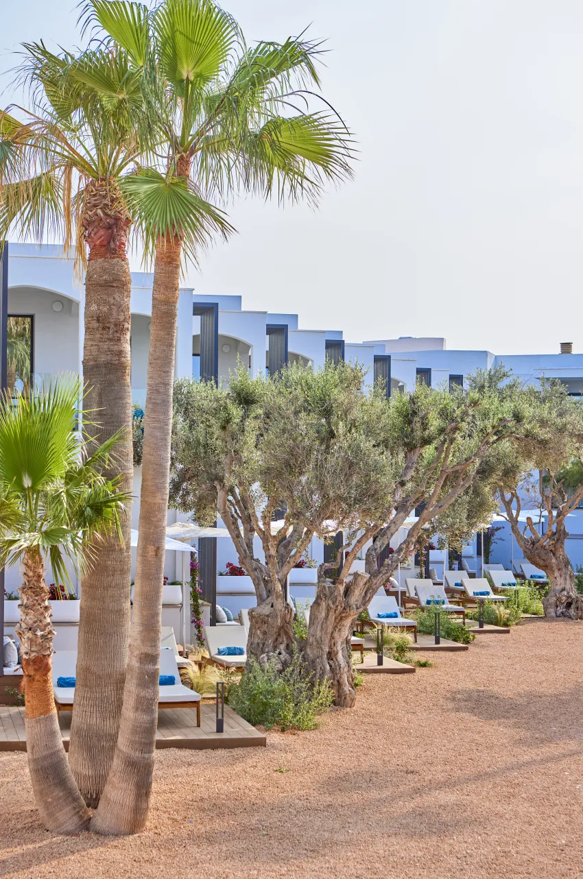 Universal Gran Leon and Spa 5*-104