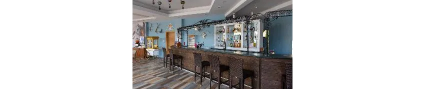 Pine House Hotel 4*-66