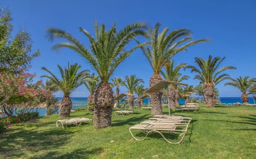 Crystal Springs Beach Hotel 4*-64