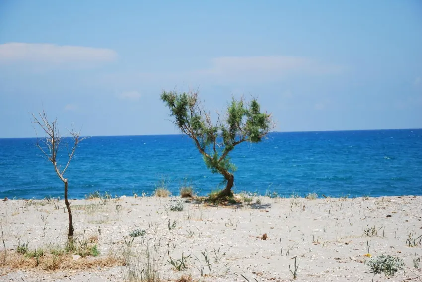 Lito Beach Hotel 3*-131