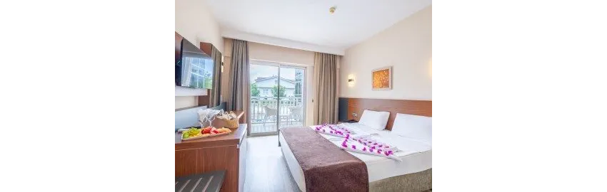 Viking Express Hotel 3*-4