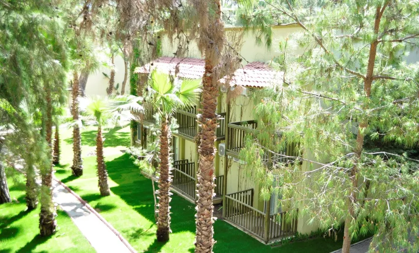 Gypsophila Club Marine 5*-18