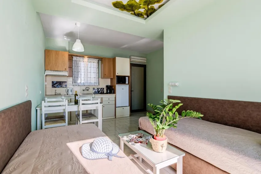 Alkionis Beach Hotel Apartments 2*-9