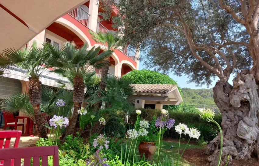 Cala Sant Vicenç Hotel 4*-86