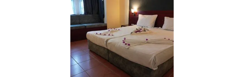Lemas Suite Hotel 3*-10