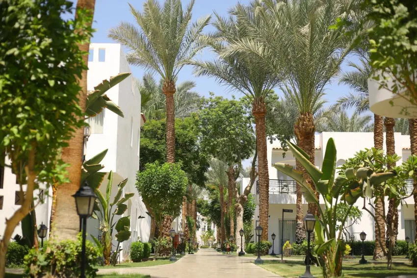 Jaz Fanara Resort 5*-8