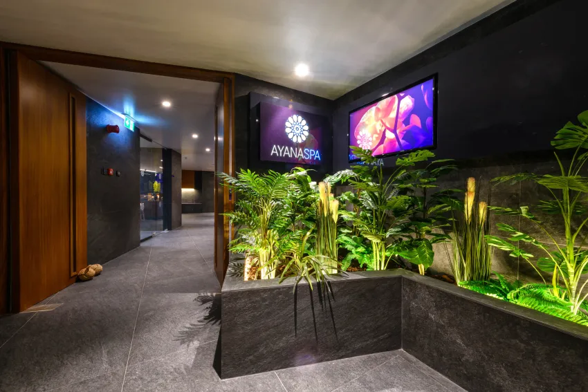 Ajax Hotel 4*-111