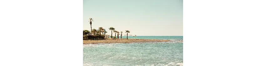 Flora Garden Beach (Adults Only 16+) 5*-87