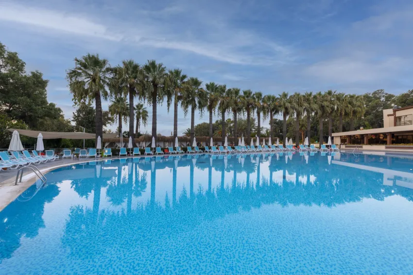 Asteria Collection Side 5*-26