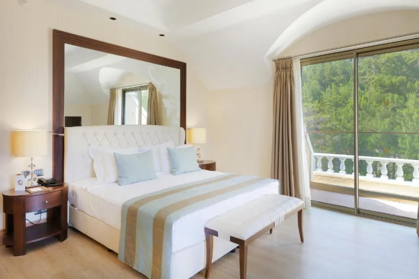 JUJU PREMIER PALACE HOTEL (EX. AMARA PREMIER PALACE)  5*-12
