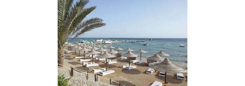 Royal Star Beach Resort 4*-8